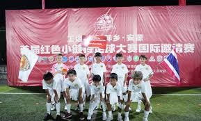 阿森纳以一分优势夺得英超25赛季冠军